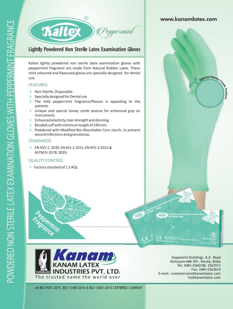 PP Exam 230 mm - Kaltex Peppermint